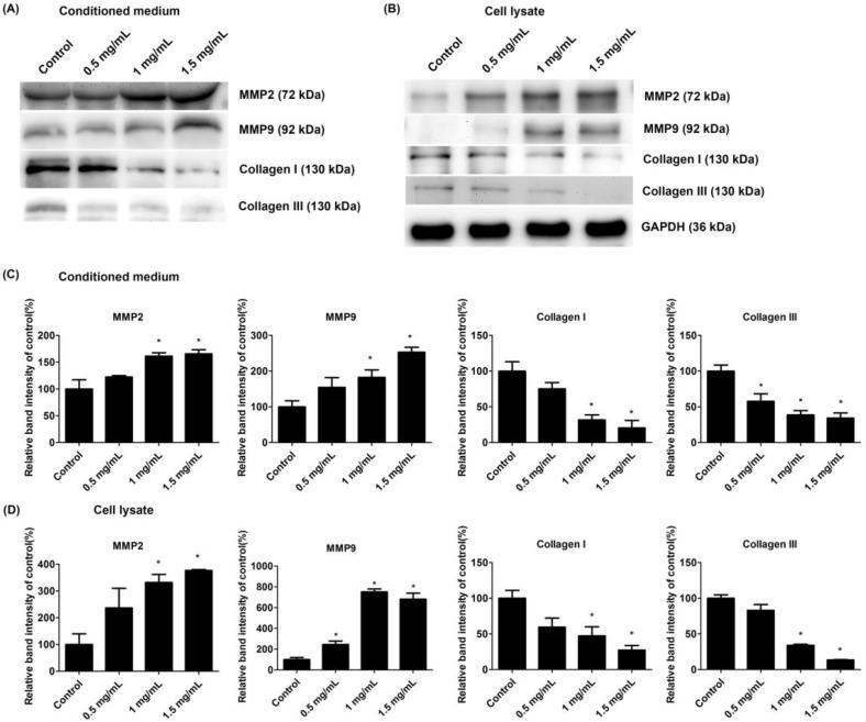 https://cdn.ncbi.nlm.nih.gov/pmc/blobs/ce71/9368801/7001f837db17/ijms-23-08787-g007.jpg