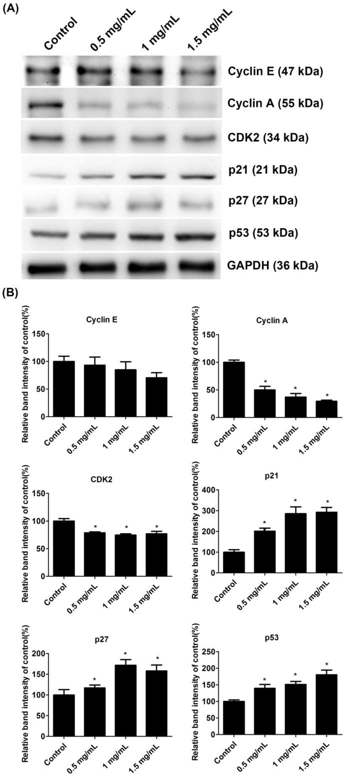 https://cdn.ncbi.nlm.nih.gov/pmc/blobs/ce71/9368801/c69d13ebcb99/ijms-23-08787-g005.jpg