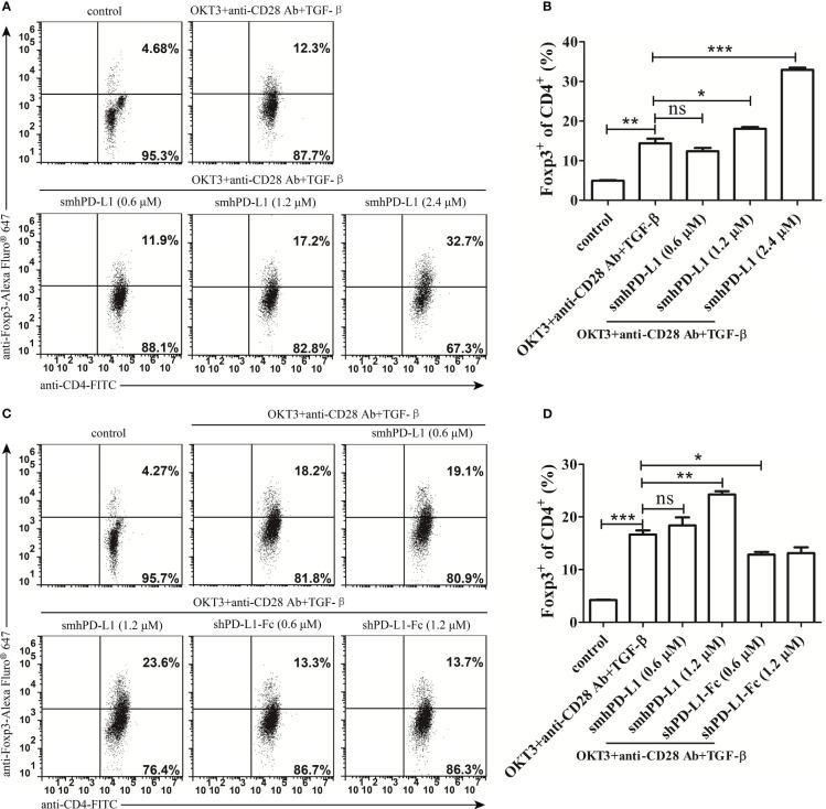 https://cdn.ncbi.nlm.nih.gov/pmc/blobs/ce72/10229872/4be0d507a67a/fimmu-14-1133883-g005.jpg