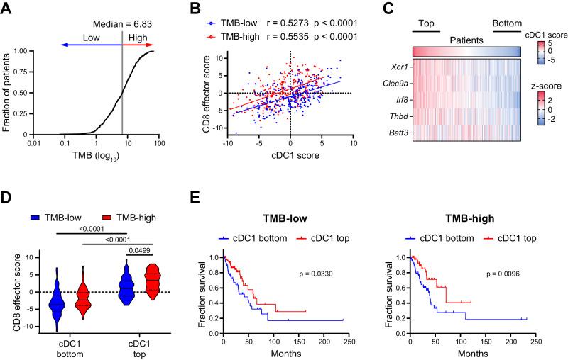 https://cdn.ncbi.nlm.nih.gov/pmc/blobs/ce73/10937682/bc363bc0c0ca/41467_2024_46685_Fig4_HTML.jpg