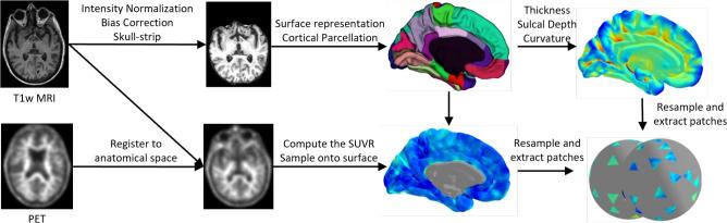 https://cdn.ncbi.nlm.nih.gov/pmc/blobs/ce73/11832775/12b8dfdd98bf/41598_2025_90115_Fig1_HTML.jpg