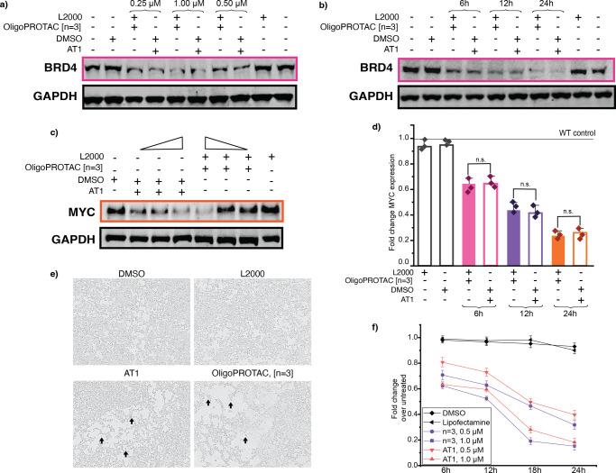 https://cdn.ncbi.nlm.nih.gov/pmc/blobs/ce74/12381747/007619aa17db/au5c00422_0003.jpg