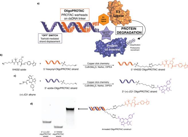 https://cdn.ncbi.nlm.nih.gov/pmc/blobs/ce74/12381747/12726bd1f368/au5c00422_0001.jpg