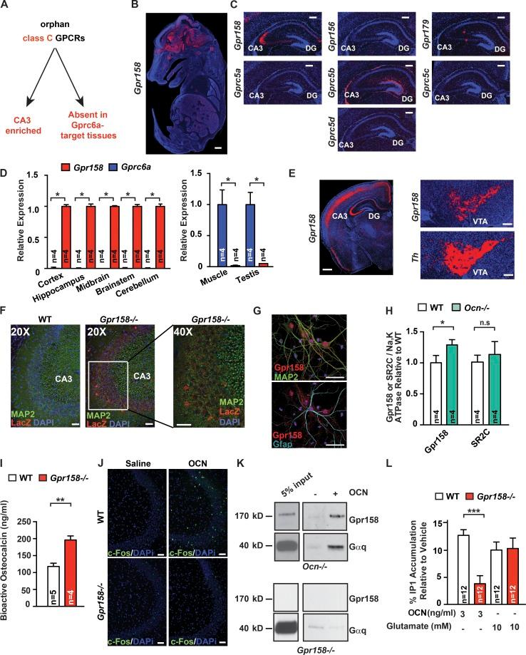 https://cdn.ncbi.nlm.nih.gov/pmc/blobs/ce74/5626410/270201f38bbf/JEM_20171320_Fig2.jpg