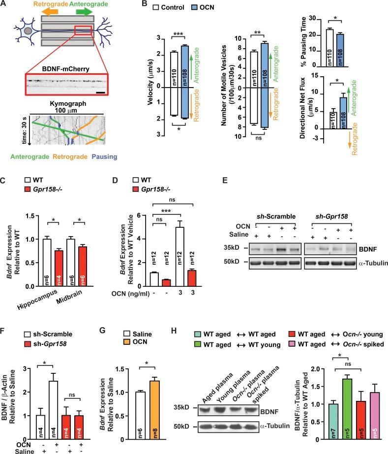https://cdn.ncbi.nlm.nih.gov/pmc/blobs/ce74/5626410/cda646b19d7d/JEM_20171320_Fig4.jpg