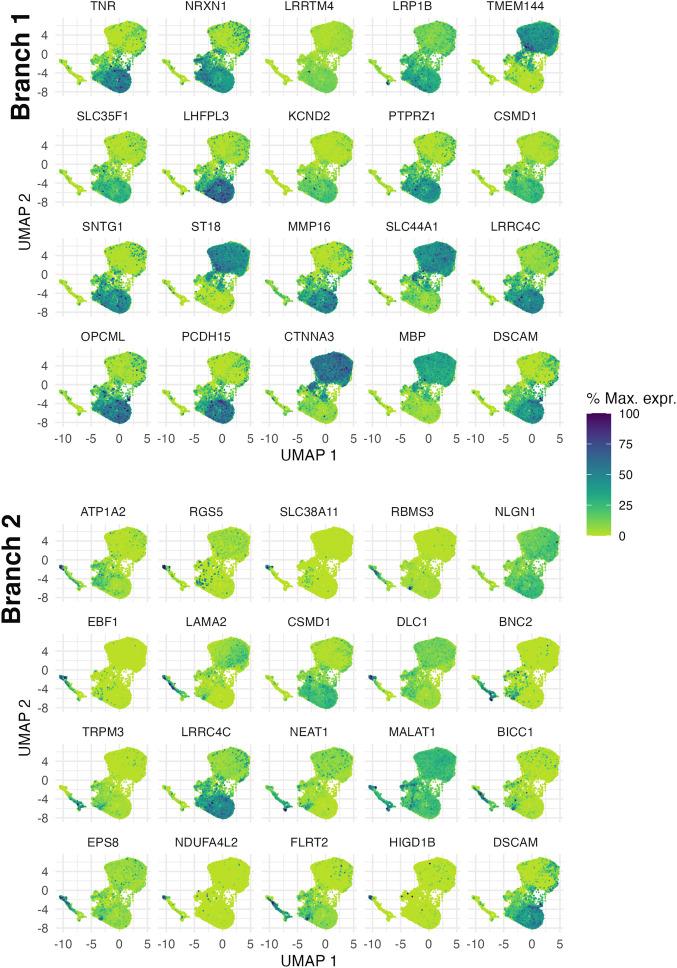 https://cdn.ncbi.nlm.nih.gov/pmc/blobs/ce78/10265985/1b885166a9f4/pnas.2300052120fig07.jpg