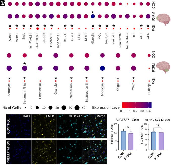 https://cdn.ncbi.nlm.nih.gov/pmc/blobs/ce78/10265985/a15f1d0a6b48/pnas.2300052120fig02.jpg