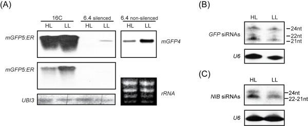 https://cdn.ncbi.nlm.nih.gov/pmc/blobs/ce78/3017829/0f7f301d9880/1471-2229-10-220-2.jpg