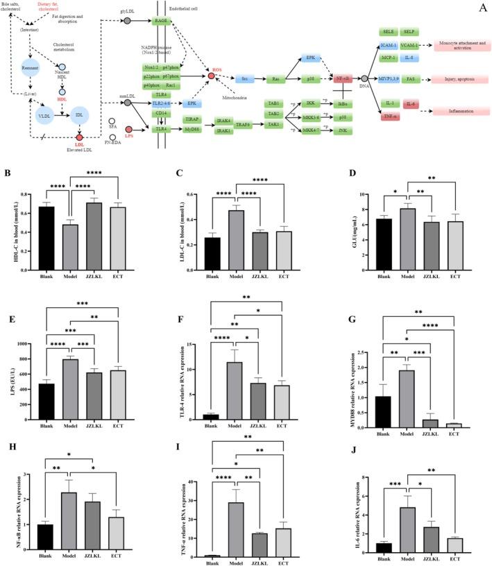 https://cdn.ncbi.nlm.nih.gov/pmc/blobs/ce7a/12325893/608cde328a0d/FSN3-13-e70592-g001.jpg