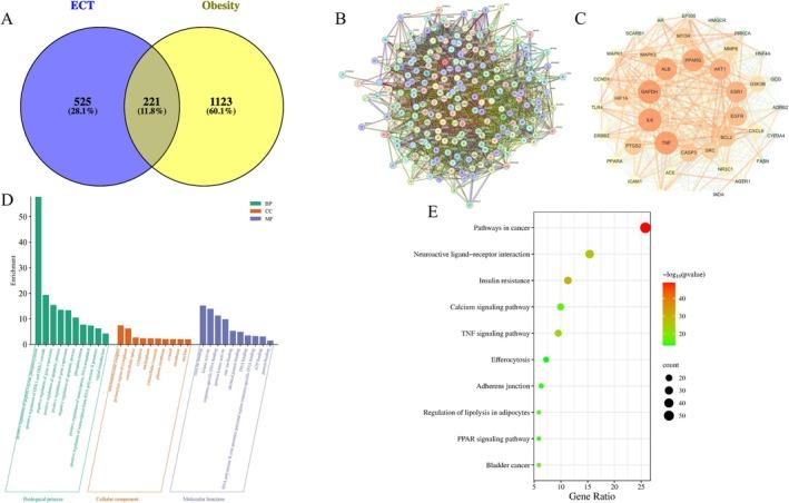 https://cdn.ncbi.nlm.nih.gov/pmc/blobs/ce7a/12325893/a533c5203173/FSN3-13-e70592-g012.jpg