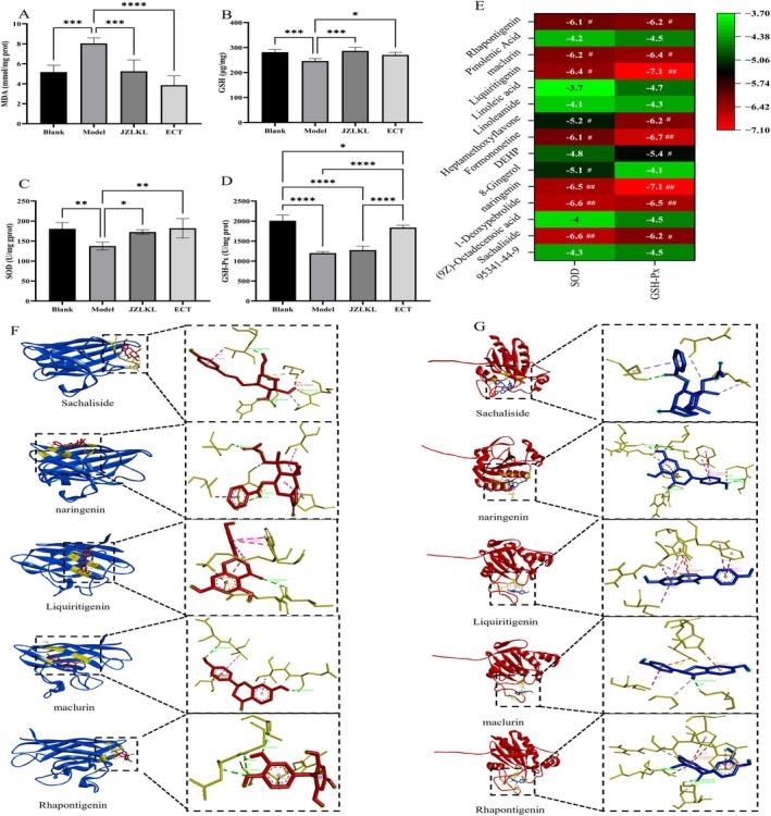 https://cdn.ncbi.nlm.nih.gov/pmc/blobs/ce7a/12325893/c74e3dff878d/FSN3-13-e70592-g006.jpg