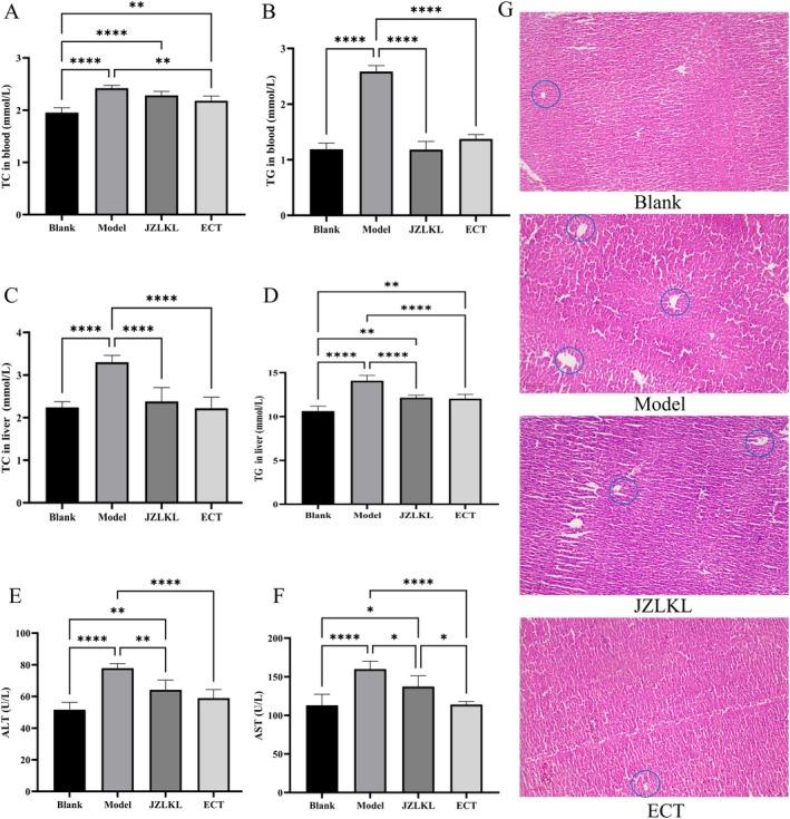 https://cdn.ncbi.nlm.nih.gov/pmc/blobs/ce7a/12325893/f7f03185b163/FSN3-13-e70592-g007.jpg