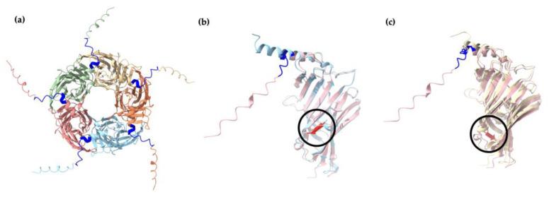 https://cdn.ncbi.nlm.nih.gov/pmc/blobs/ce7b/11432007/05fb2036250c/ijms-25-10142-g011.jpg