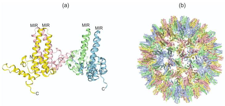 https://cdn.ncbi.nlm.nih.gov/pmc/blobs/ce7d/11678810/4dc8527a5519/plants-13-03564-g005.jpg
