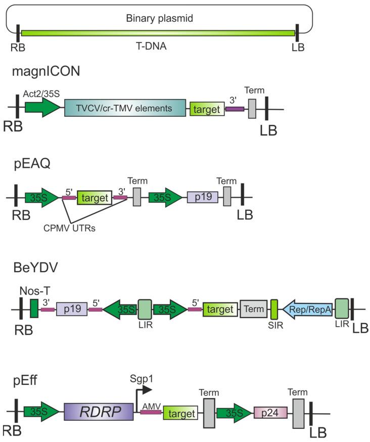 https://cdn.ncbi.nlm.nih.gov/pmc/blobs/ce7d/11678810/ad4c0e4492c2/plants-13-03564-g002.jpg