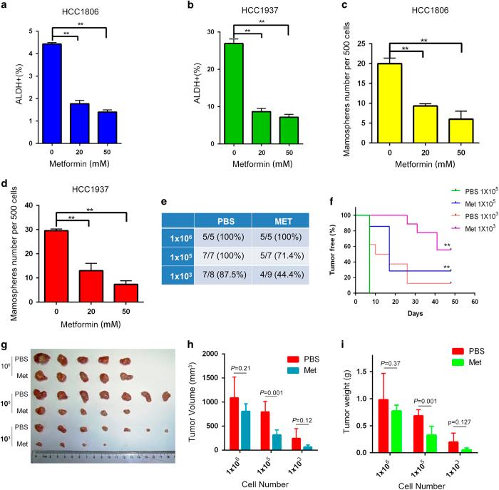 https://cdn.ncbi.nlm.nih.gov/pmc/blobs/ce7e/5396048/a9b7893b71ea/celldisc201710-f1.jpg