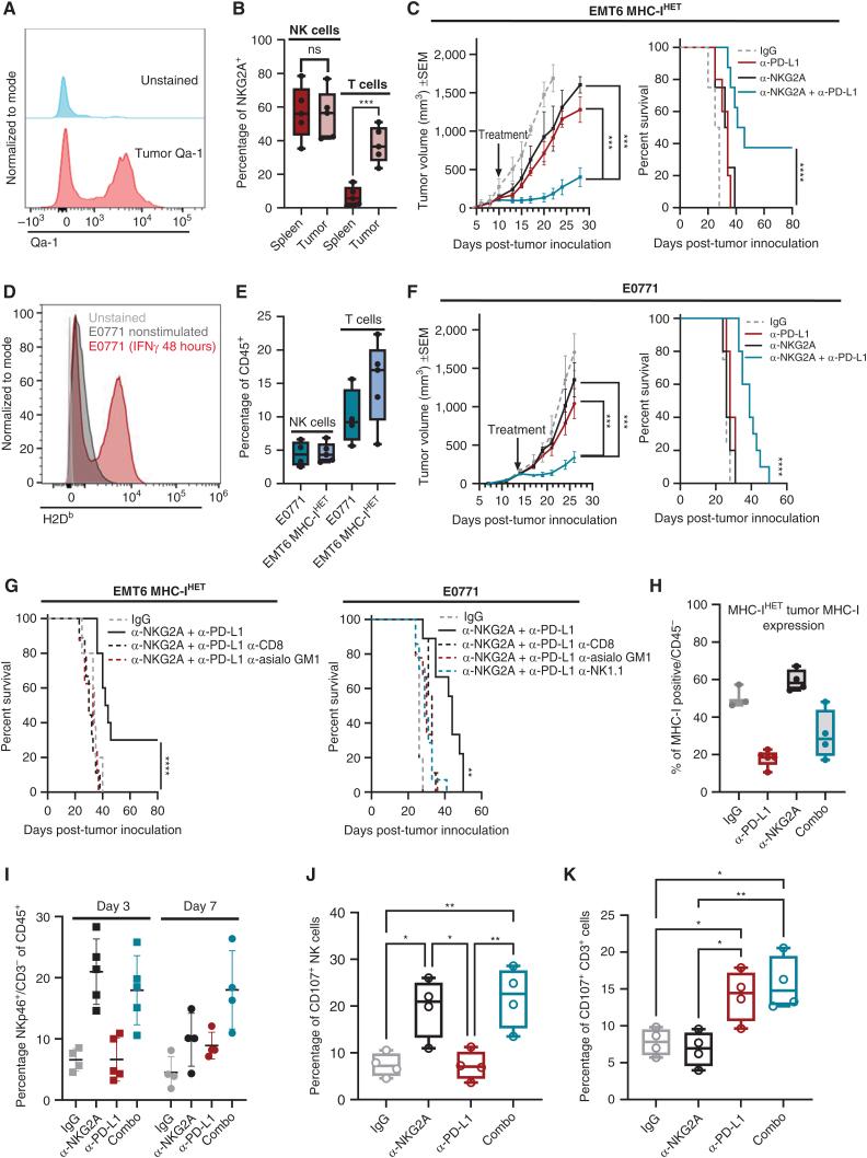 https://cdn.ncbi.nlm.nih.gov/pmc/blobs/ce7f/10850946/548dee24f663/290fig5.jpg
