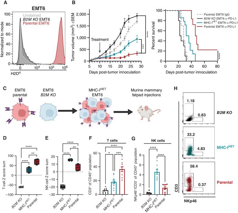 https://cdn.ncbi.nlm.nih.gov/pmc/blobs/ce7f/10850946/6c045bf4ebce/290fig3.jpg