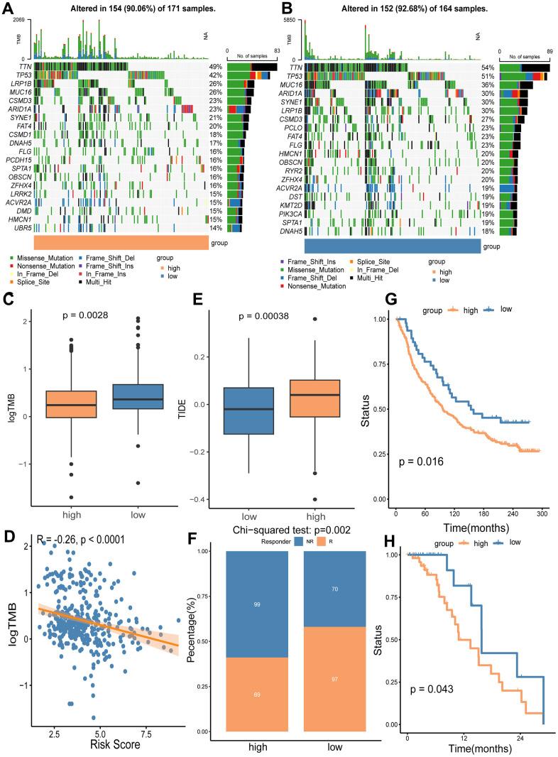 https://cdn.ncbi.nlm.nih.gov/pmc/blobs/ce7f/11210248/922709f35d03/aging-16-205895-g009.jpg