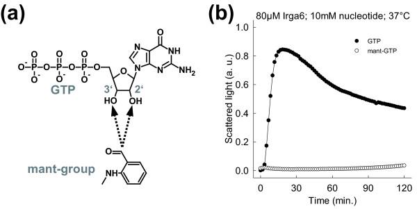https://cdn.ncbi.nlm.nih.gov/pmc/blobs/ce80/3042988/3f8418422cfa/1741-7007-9-7-5.jpg