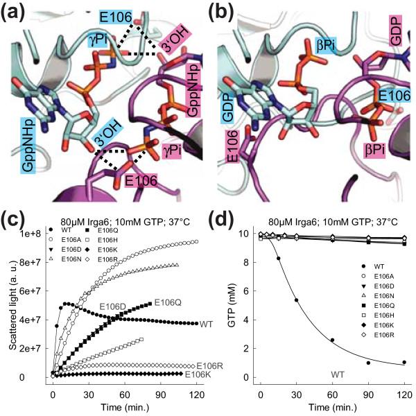 https://cdn.ncbi.nlm.nih.gov/pmc/blobs/ce80/3042988/c2108f4c8761/1741-7007-9-7-8.jpg