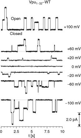 https://cdn.ncbi.nlm.nih.gov/pmc/blobs/ce81/7104957/c29552ce972d/gr3.jpg
