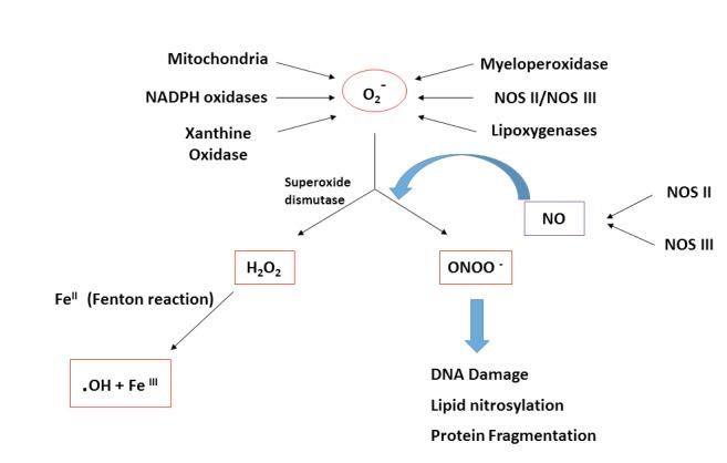 https://cdn.ncbi.nlm.nih.gov/pmc/blobs/ce82/5872263/ff9ba25f634d/CCR-14-53_F1.jpg