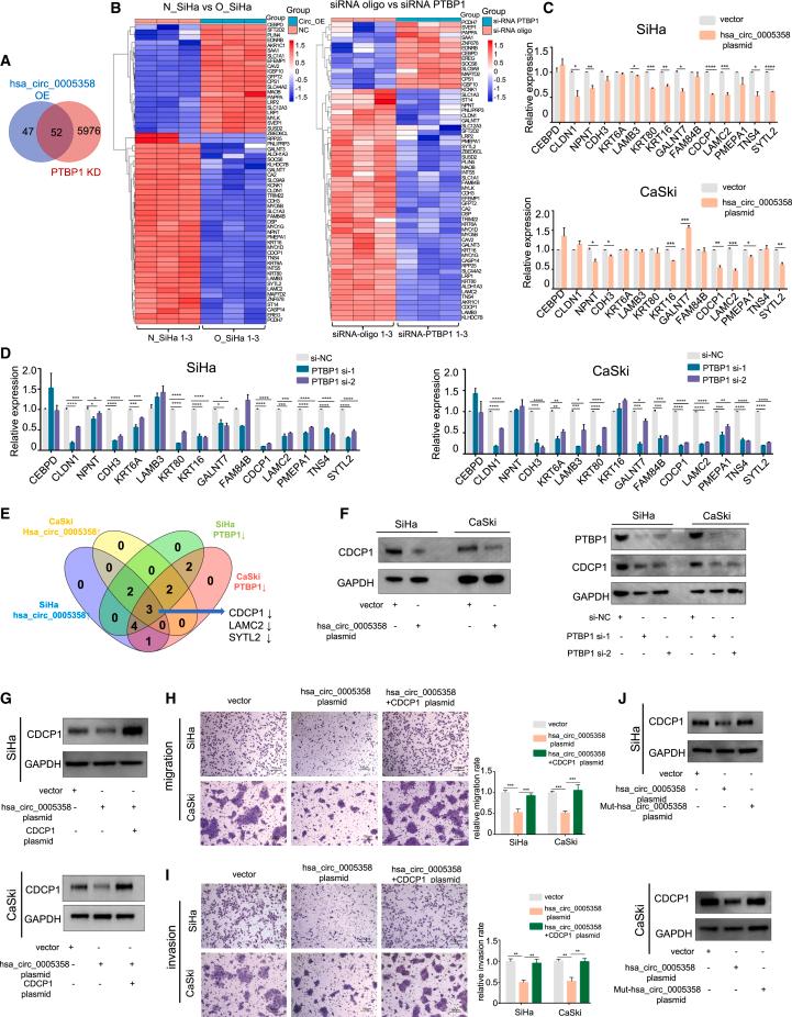 https://cdn.ncbi.nlm.nih.gov/pmc/blobs/ce82/8693350/2e8d006cf5d2/gr4.jpg