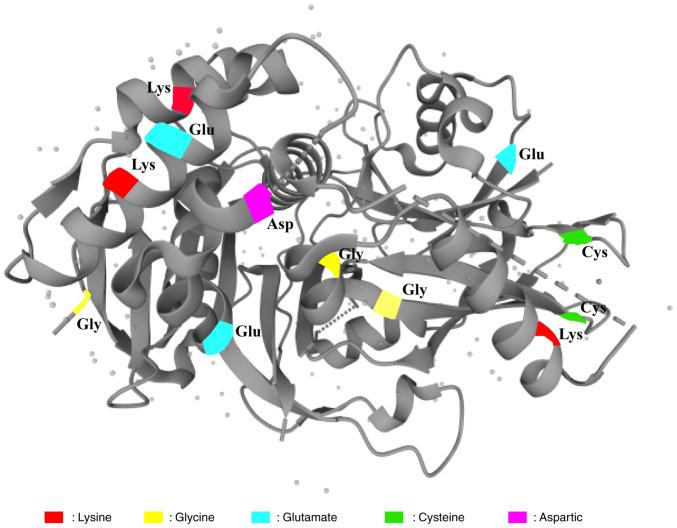 https://cdn.ncbi.nlm.nih.gov/pmc/blobs/ce84/10463009/1140afe992ba/or-50-04-08613-g01.jpg