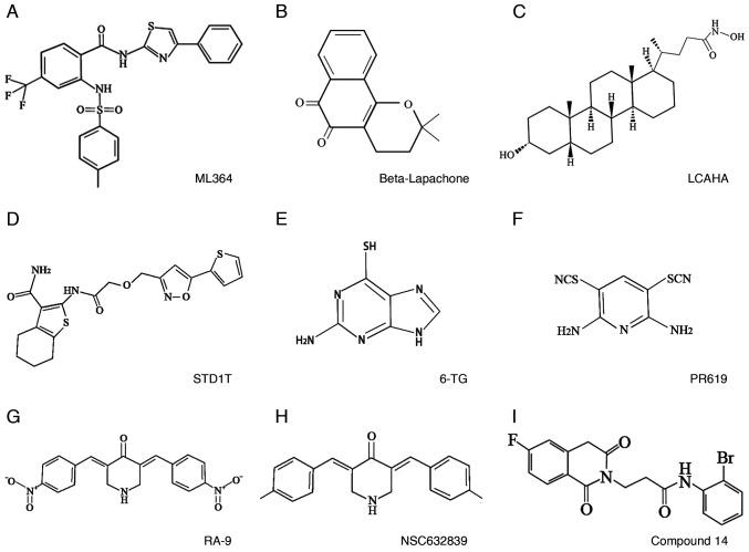 https://cdn.ncbi.nlm.nih.gov/pmc/blobs/ce84/10463009/ebb9eb3dee61/or-50-04-08613-g03.jpg