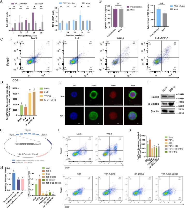 https://cdn.ncbi.nlm.nih.gov/pmc/blobs/ce85/12421831/75866eda8718/mbio.01366-25.f005.jpg