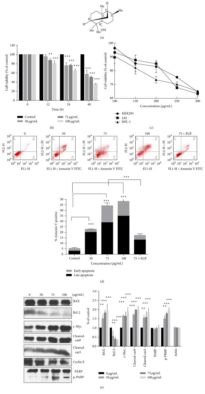 https://cdn.ncbi.nlm.nih.gov/pmc/blobs/ce85/5086517/3a94536ca797/BMRI2016-4567580.001.jpg