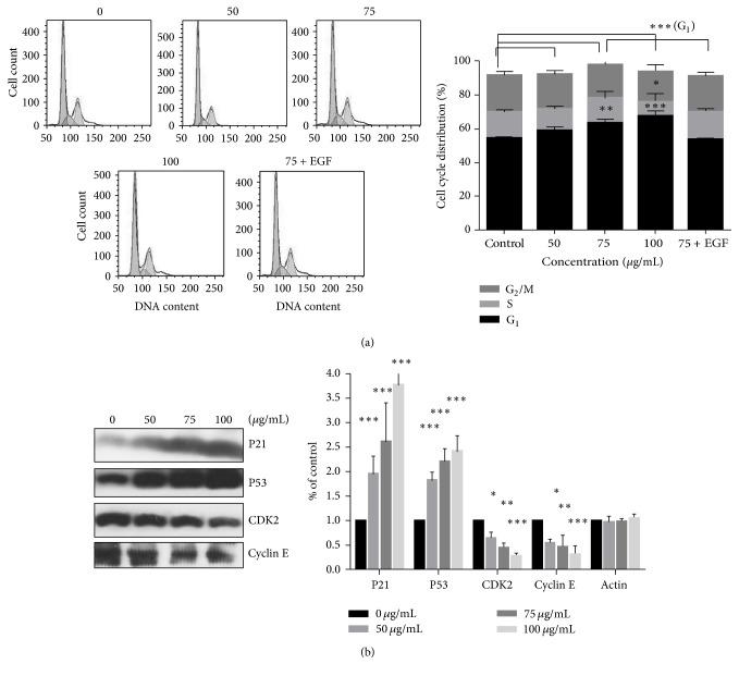 https://cdn.ncbi.nlm.nih.gov/pmc/blobs/ce85/5086517/933c592f6ef7/BMRI2016-4567580.003.jpg