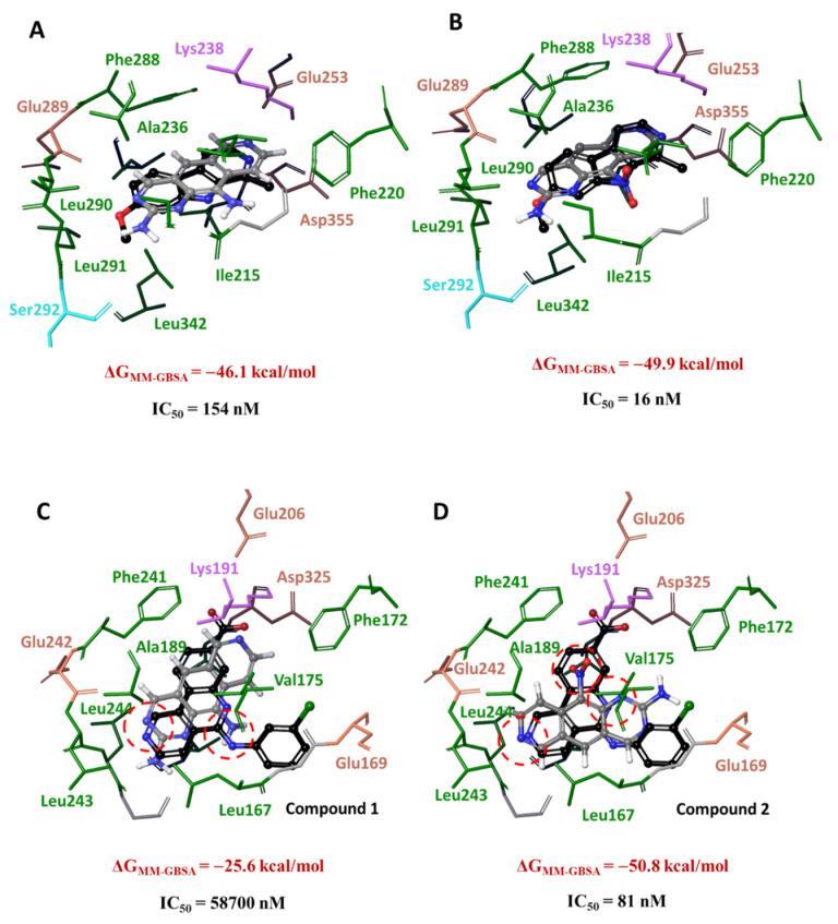 https://cdn.ncbi.nlm.nih.gov/pmc/blobs/ce86/10886777/28f9769bc34a/cancers-16-00834-g004.jpg