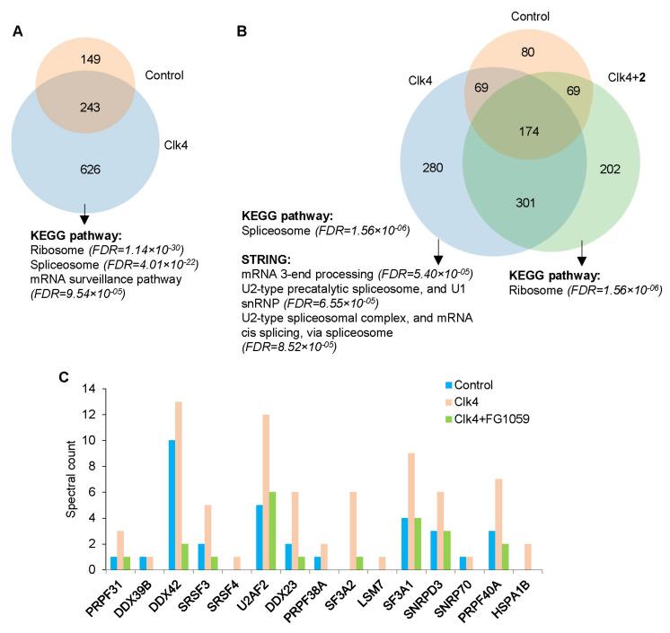 https://cdn.ncbi.nlm.nih.gov/pmc/blobs/ce86/10886777/8a8b3d0cc356/cancers-16-00834-g006.jpg