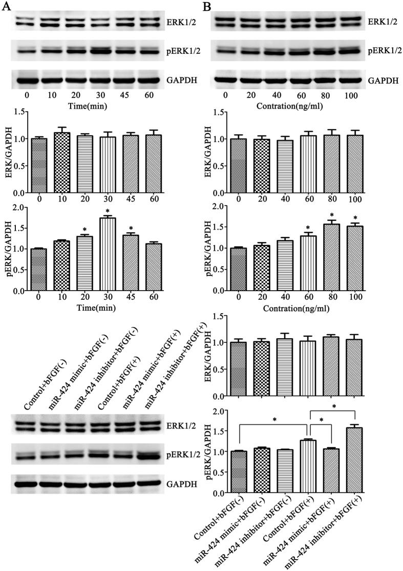 https://cdn.ncbi.nlm.nih.gov/pmc/blobs/ce87/5605629/1136ddc3001a/41598_2017_10674_Fig8_HTML.jpg