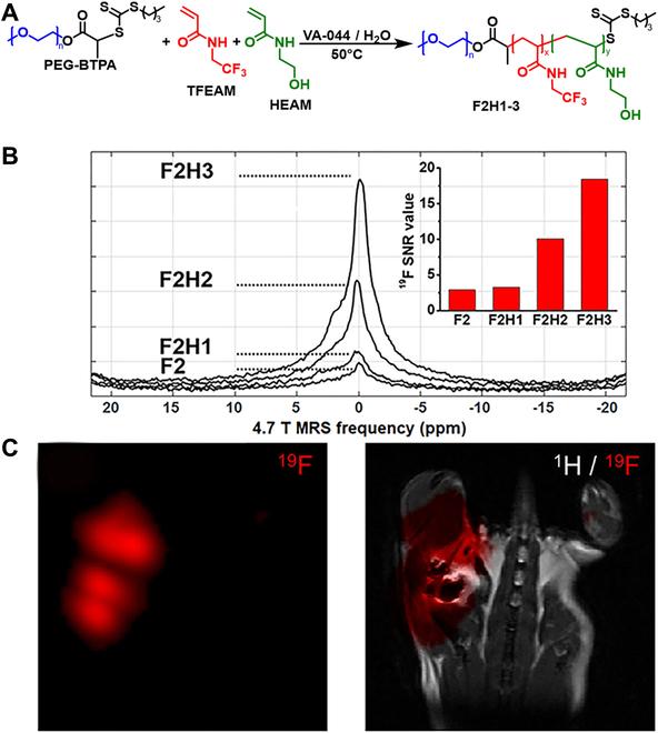 https://cdn.ncbi.nlm.nih.gov/pmc/blobs/ce88/10202185/43d702b14e32/research.0113.fig.010.jpg