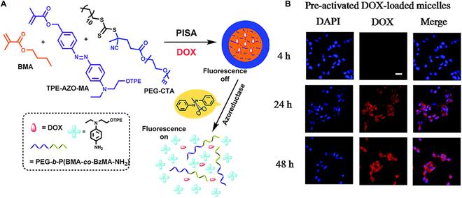https://cdn.ncbi.nlm.nih.gov/pmc/blobs/ce88/10202185/898f2591d22a/research.0113.fig.012.jpg