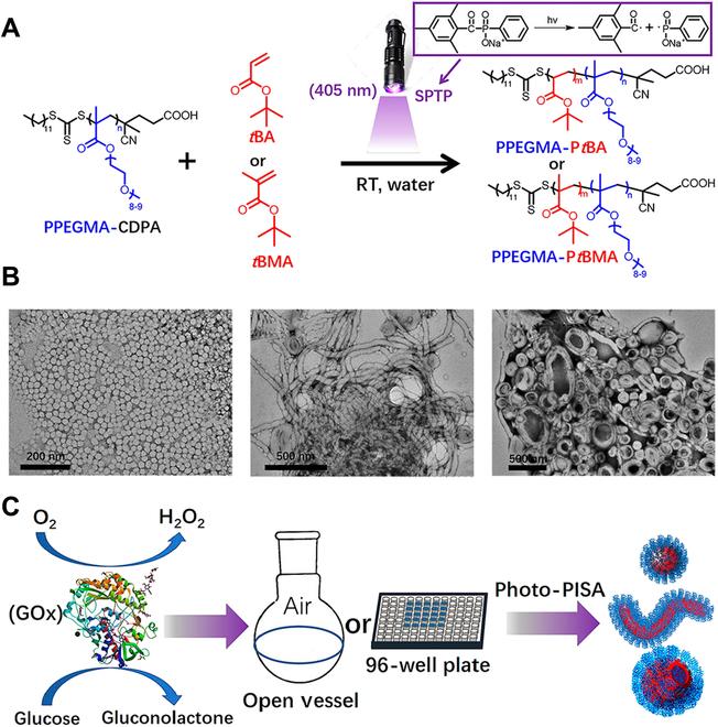 https://cdn.ncbi.nlm.nih.gov/pmc/blobs/ce88/10202185/f182a783f9a1/research.0113.fig.003.jpg