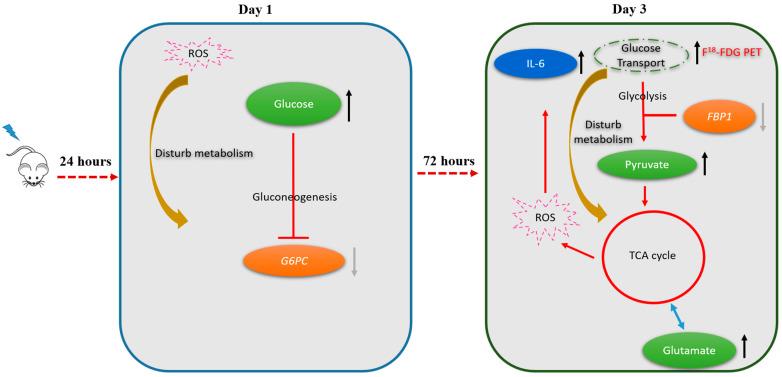 https://cdn.ncbi.nlm.nih.gov/pmc/blobs/ce88/8125521/9eb4a822d4be/molecules-26-02573-g005.jpg