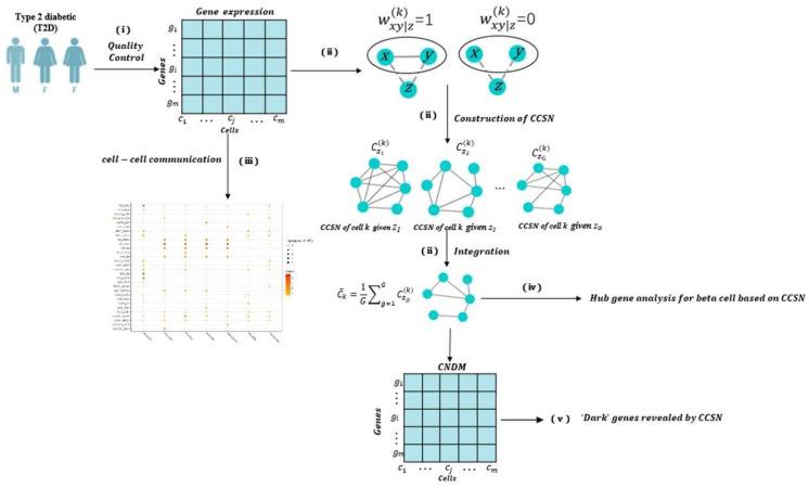 https://cdn.ncbi.nlm.nih.gov/pmc/blobs/ce88/9320152/783353abfabf/genes-13-01155-g001.jpg