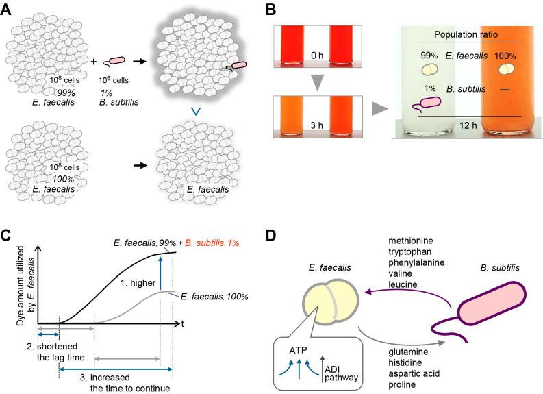 https://cdn.ncbi.nlm.nih.gov/pmc/blobs/ce8d/9530732/71b8965bf90c/37_21080-g008.jpg
