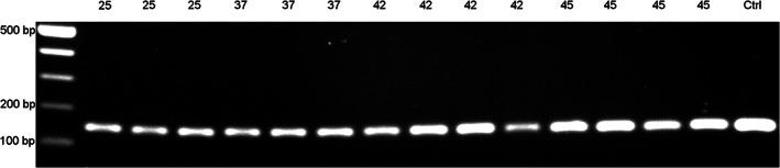 https://cdn.ncbi.nlm.nih.gov/pmc/blobs/ce8e/10953317/42f6c8f2e1ed/DVDY-252-429-g001.jpg