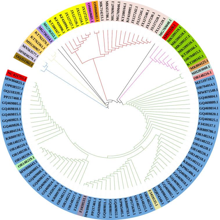 https://cdn.ncbi.nlm.nih.gov/pmc/blobs/ce8f/11696798/ade28759041b/41598_2024_83669_Fig3_HTML.jpg