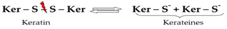 https://cdn.ncbi.nlm.nih.gov/pmc/blobs/ce90/8201023/c9c10e4081d8/polymers-13-01896-g002.jpg
