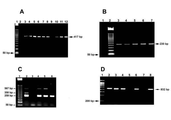 https://cdn.ncbi.nlm.nih.gov/pmc/blobs/ce91/2683802/34e4547f6569/1476-0711-8-14-1.jpg