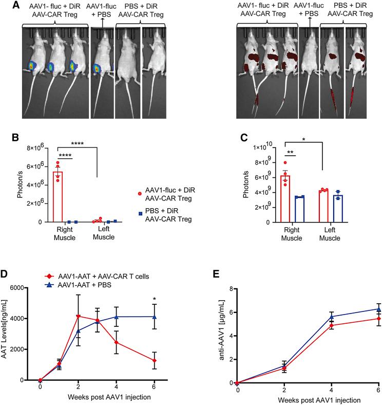 https://cdn.ncbi.nlm.nih.gov/pmc/blobs/ce91/8605179/09181c5d3a0e/gr4.jpg
