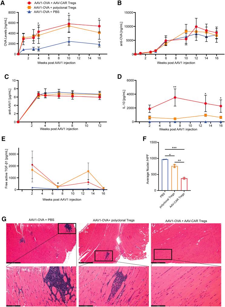 https://cdn.ncbi.nlm.nih.gov/pmc/blobs/ce91/8605179/4224f8d0861b/gr7.jpg