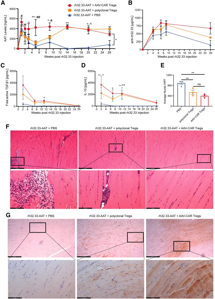https://cdn.ncbi.nlm.nih.gov/pmc/blobs/ce91/8605179/90bb7b8fe0e0/gr5.jpg