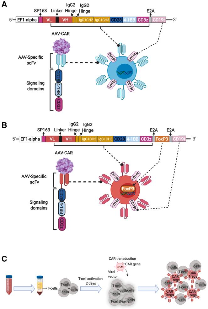 https://cdn.ncbi.nlm.nih.gov/pmc/blobs/ce91/8605179/e1c589e0681d/gr1.jpg
